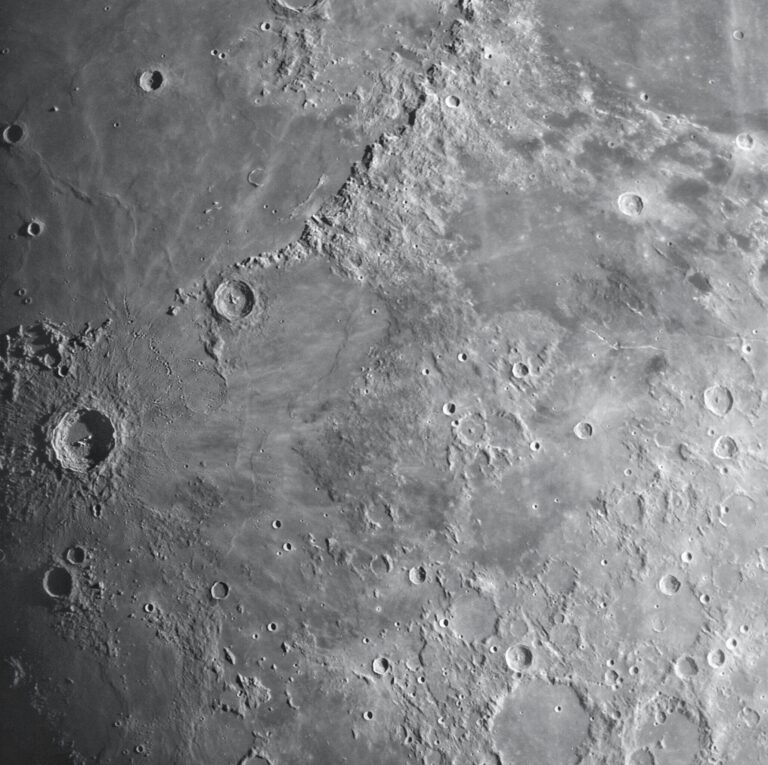 EC433055 57AB 436F 8CB0 DF88390E3135 768x765